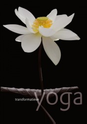 Transformatieve yoga • Transformatieve yoga